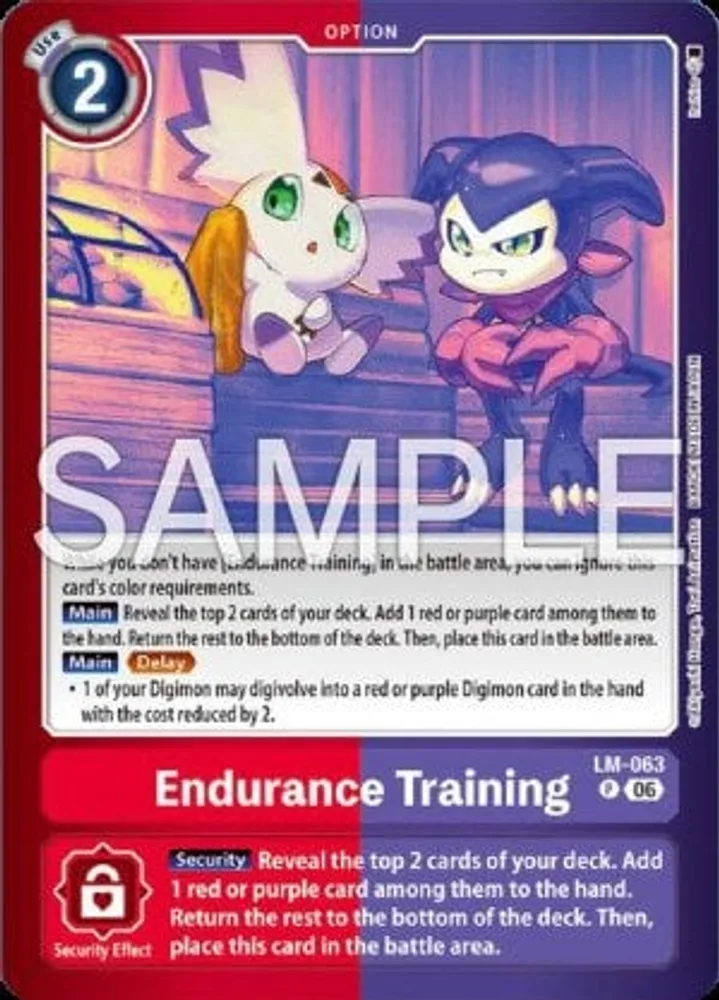 Endurance Training
