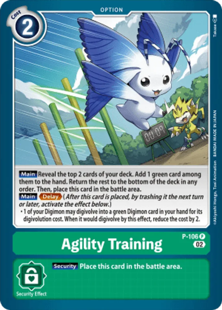 Agility Training