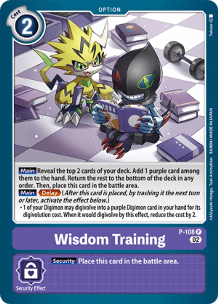 Wisdom Training