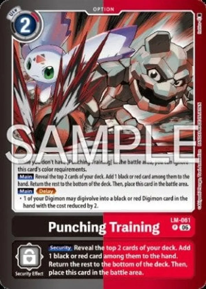 Punching Training