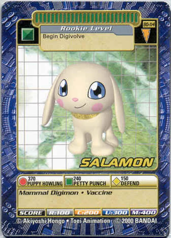 Salamon