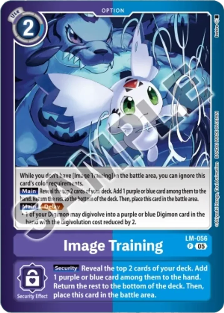 Image Training