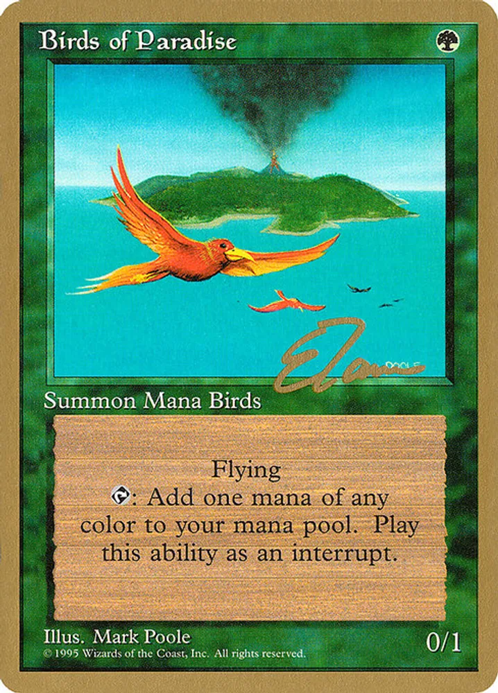 Birds of Paradise