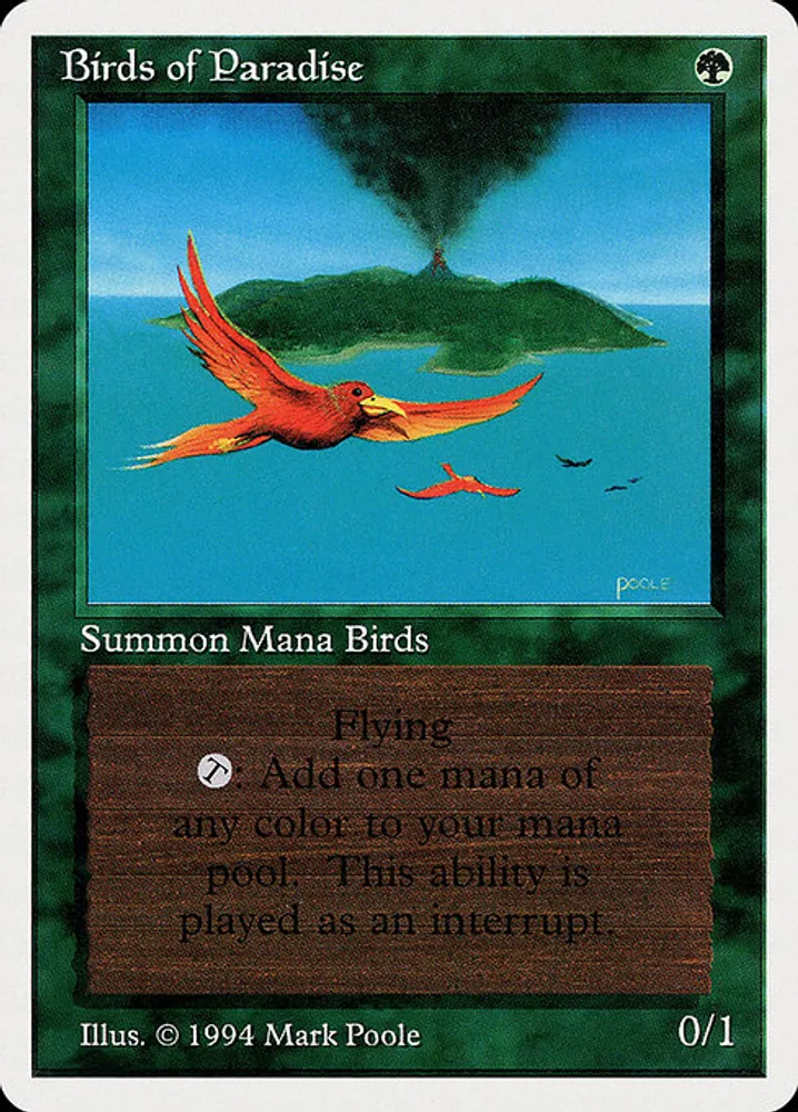 Birds of Paradise