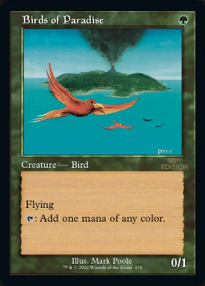 Birds of Paradise