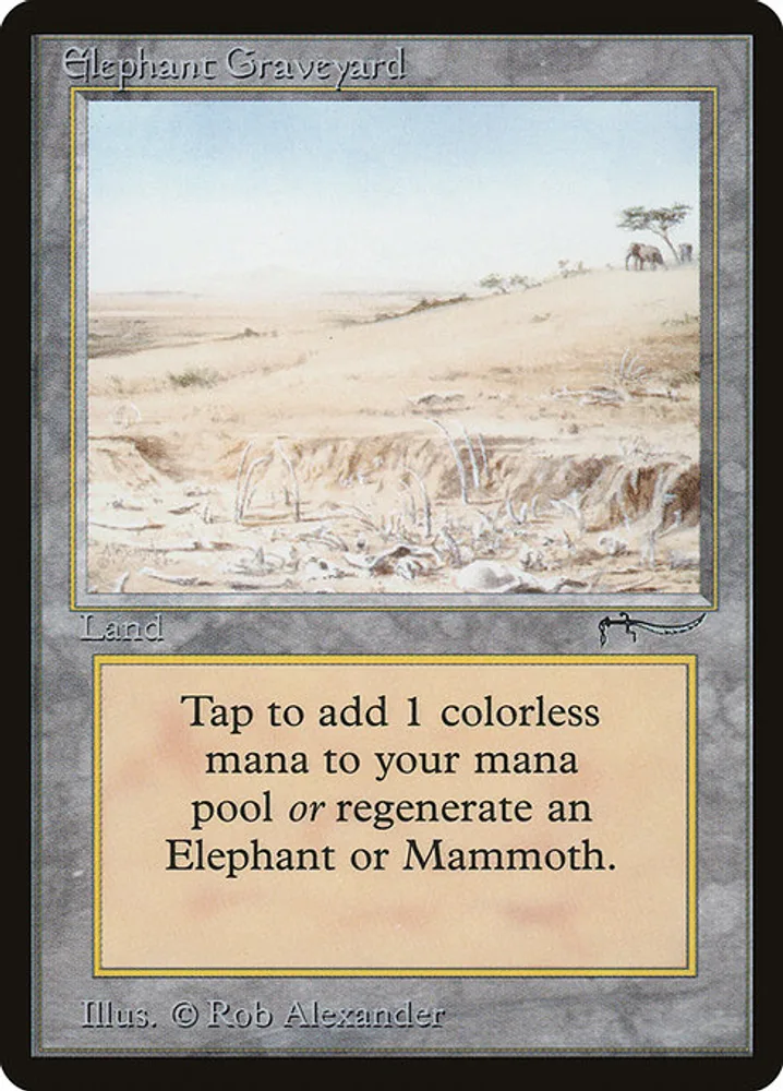 Elephant Graveyard
