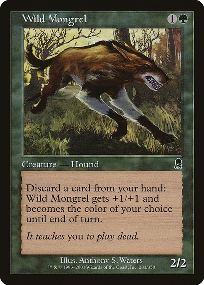 Wild Mongrel