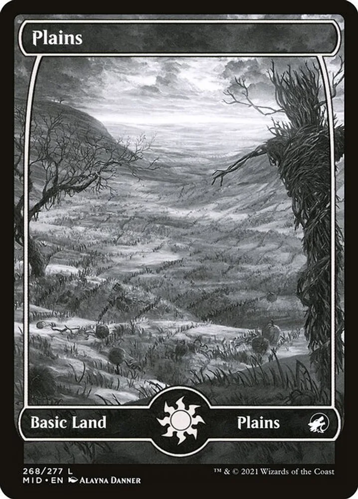 Plains