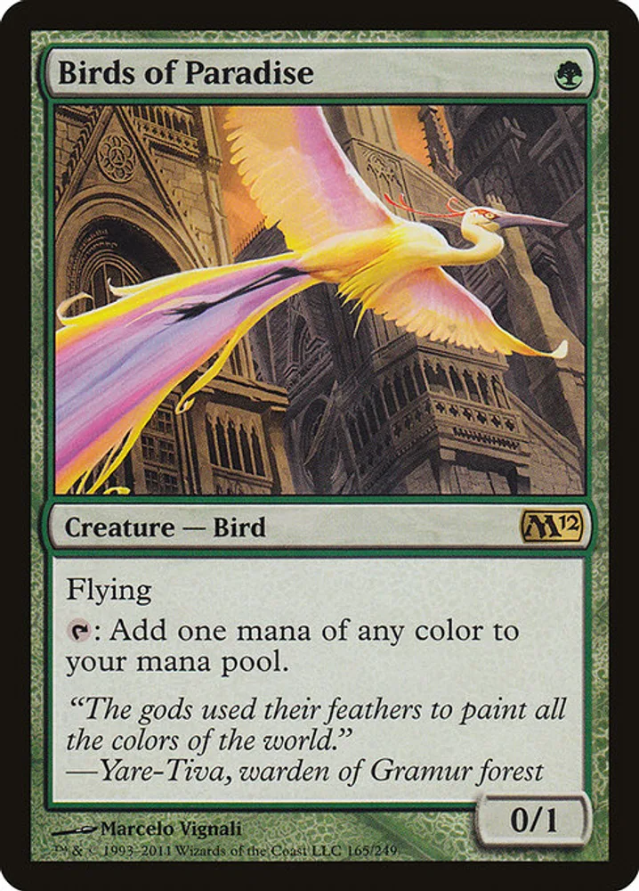Birds of Paradise
