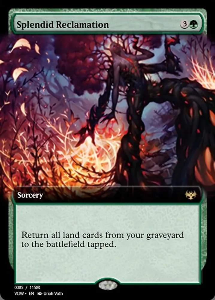 Splendid Reclamation