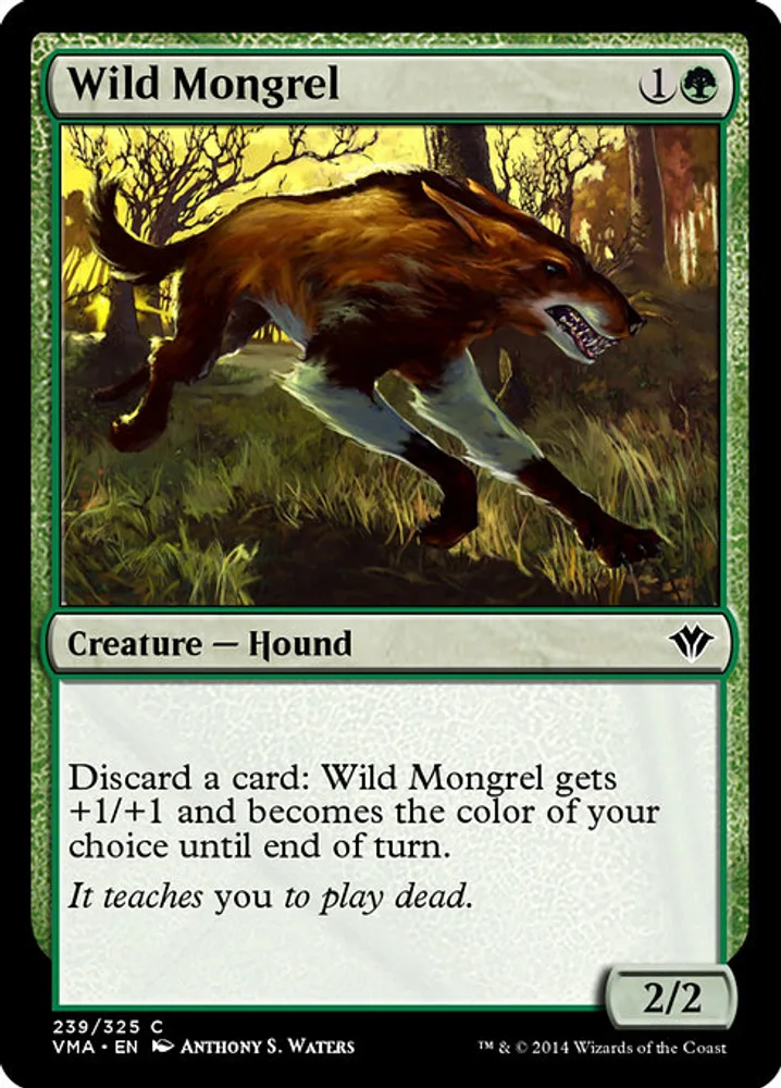 Wild Mongrel