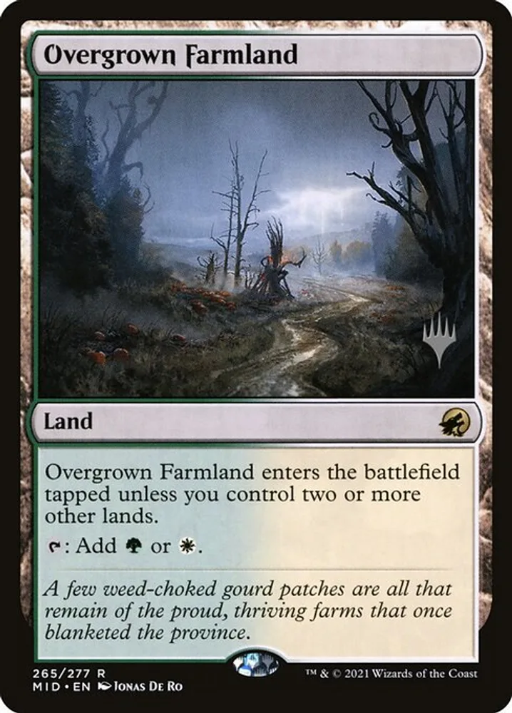 Overgrown Farmland