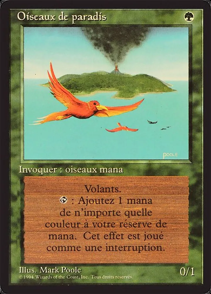 Birds of Paradise