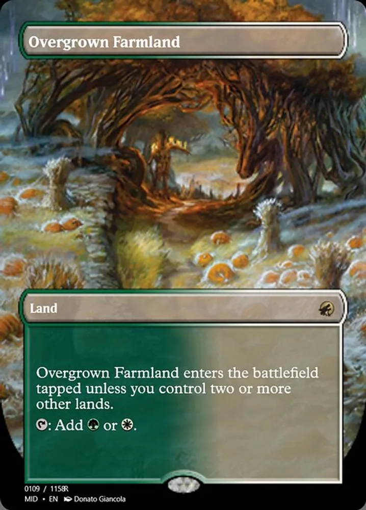 Overgrown Farmland