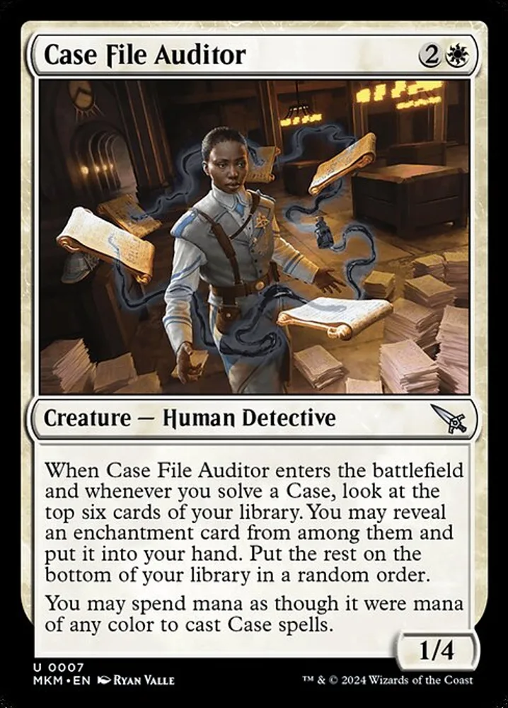 Case File Auditor
