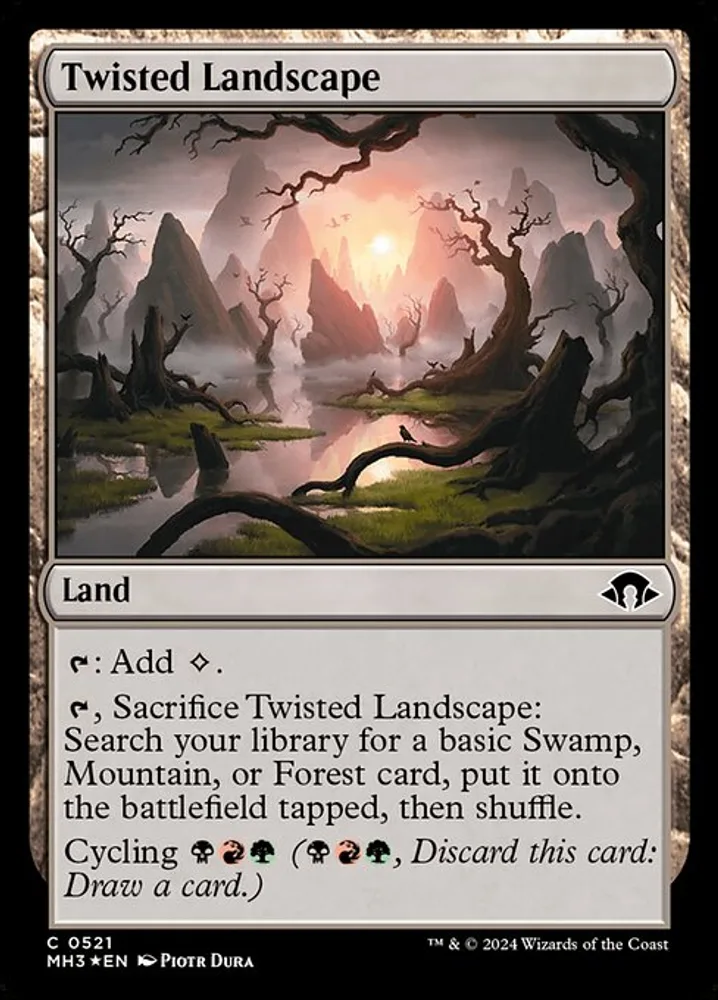 Twisted Landscape