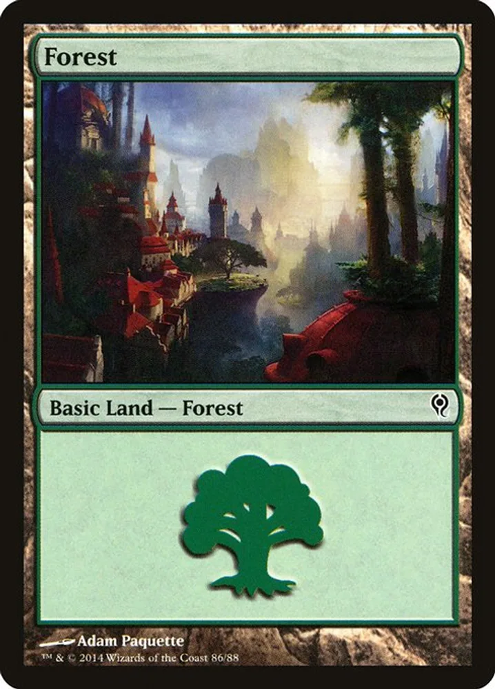 Forest