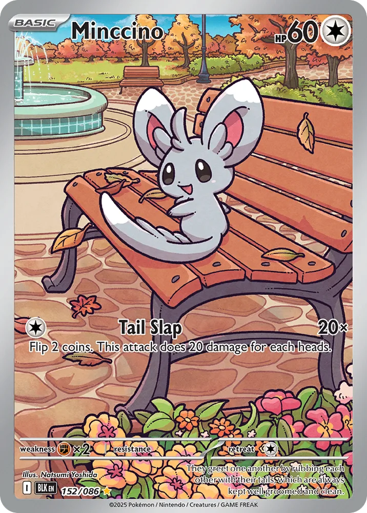 Minccino