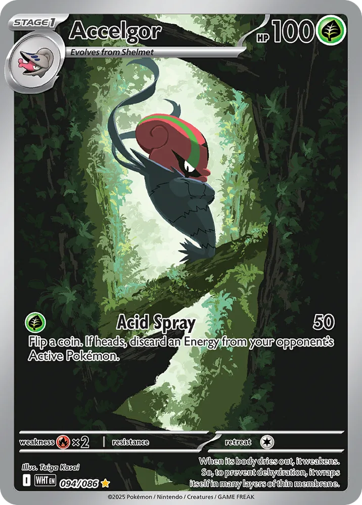 Accelgor