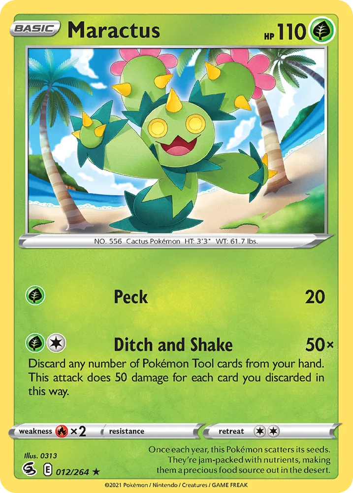 Maractus
