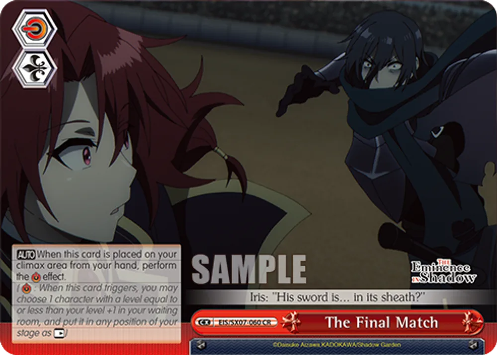 The Final Match
