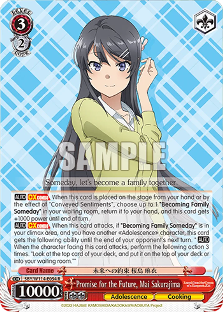 Promise for the Future, Mai Sakurajima