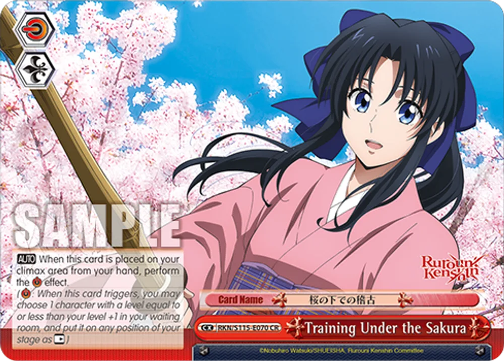 Training Under the Sakura