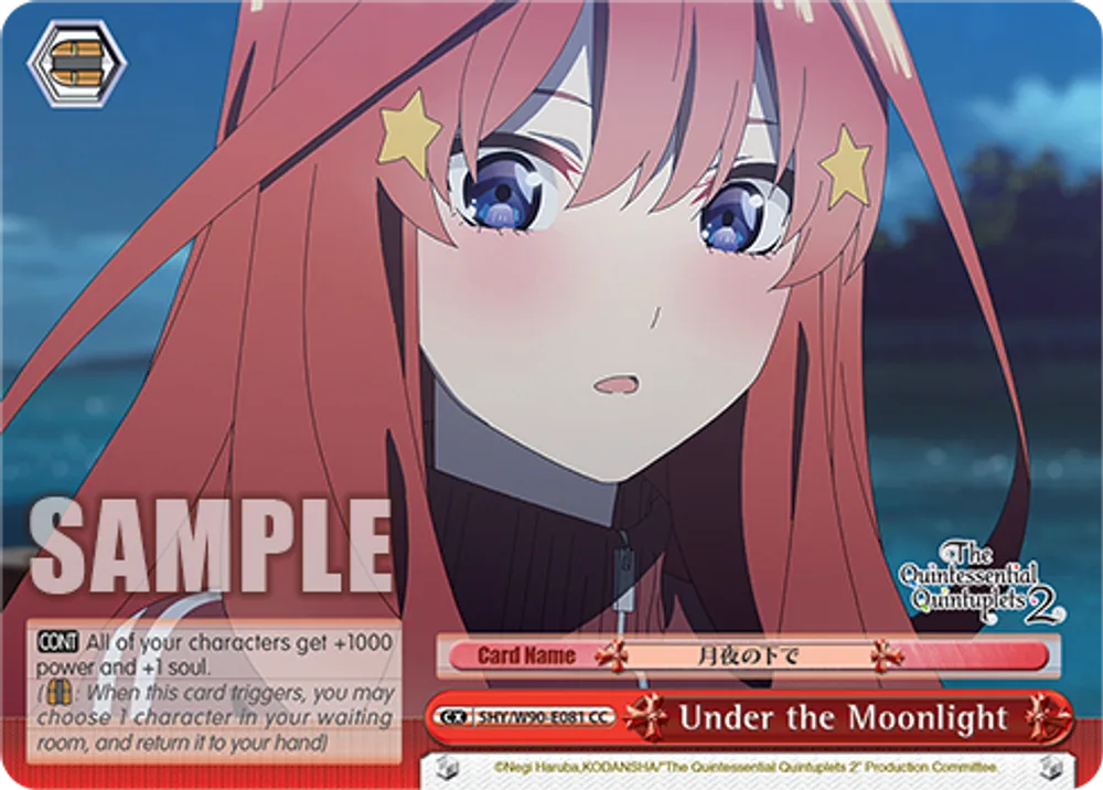 Under the Moonlight
