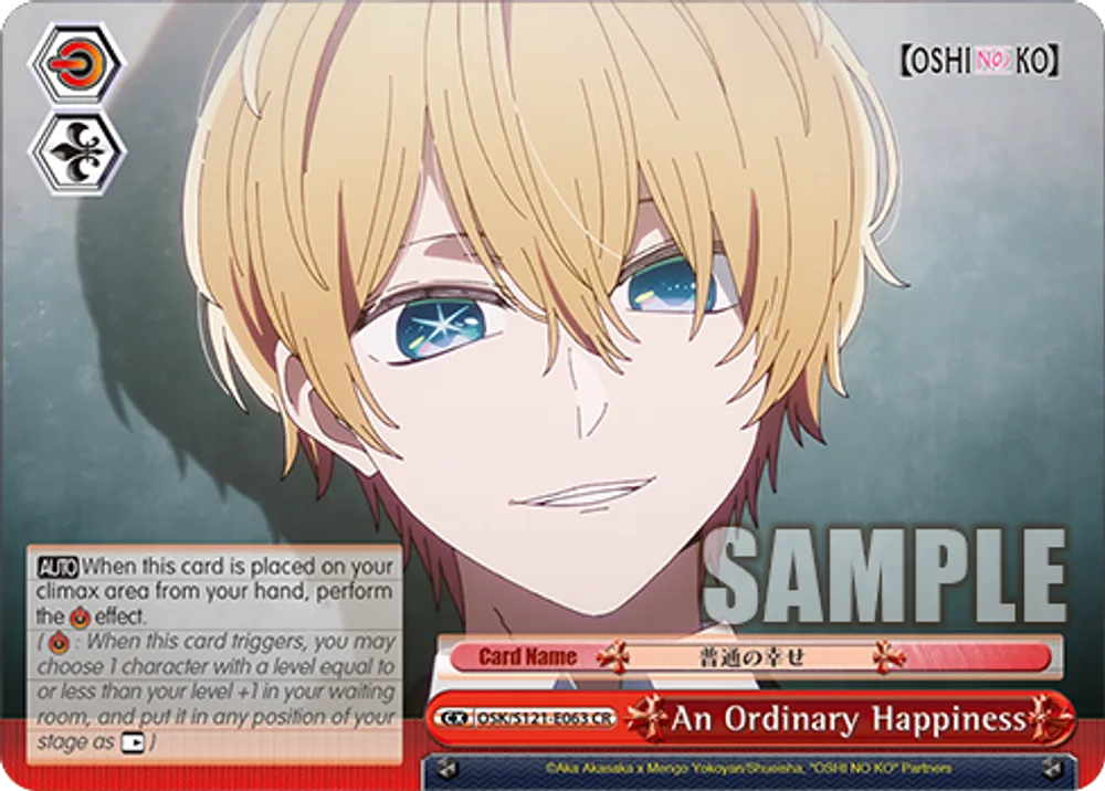 An Ordinary Happiness