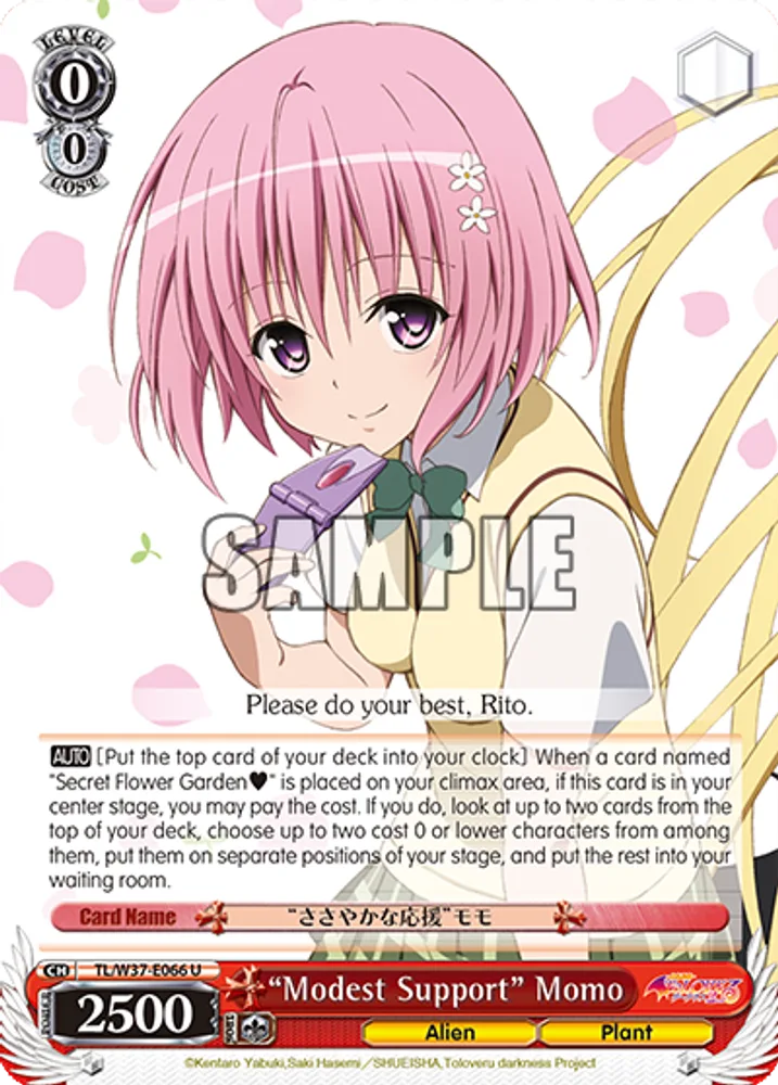 “Modest Support” Momo