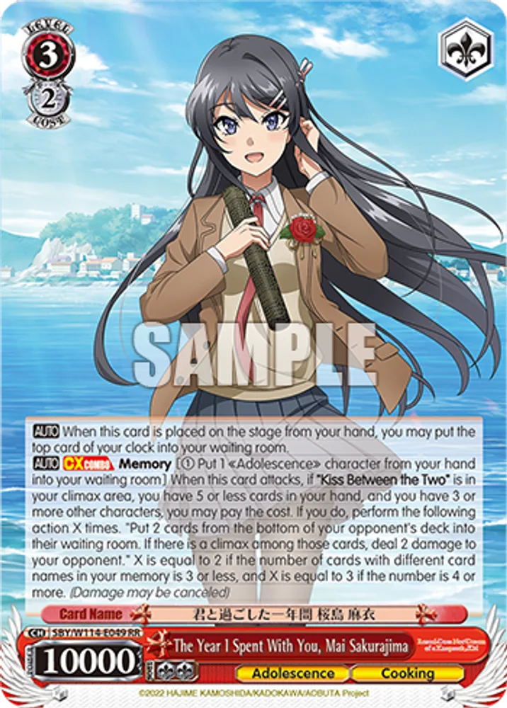 The Year I Spent With You, Mai Sakurajima