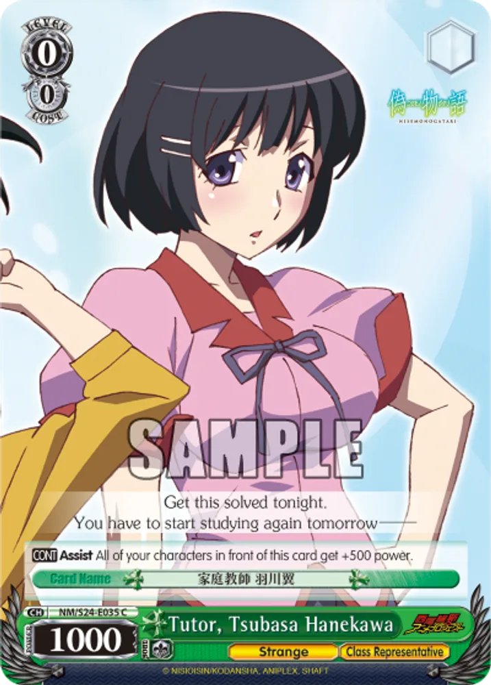 Tutor, Tsubasa Hanekawa