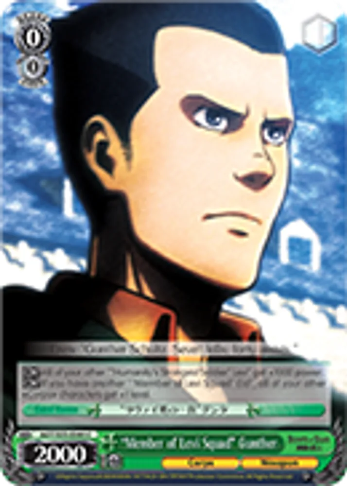 "Member of Levi Squad" Gunther