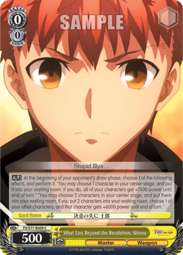 What Lies Beyond the Resolution, Shirou