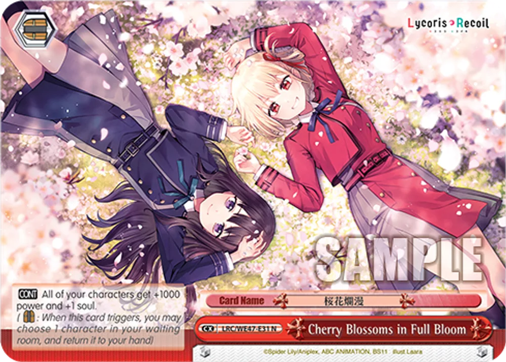 Cherry Blossoms in Full Bloom
