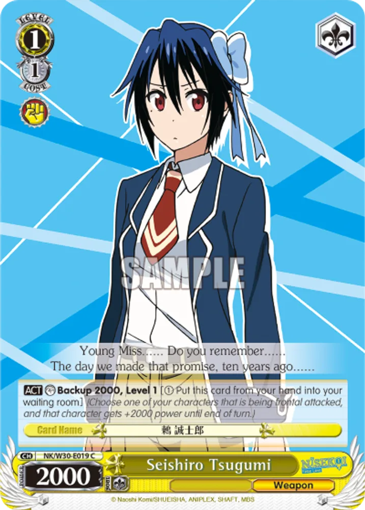 Seishiro Tsugumi