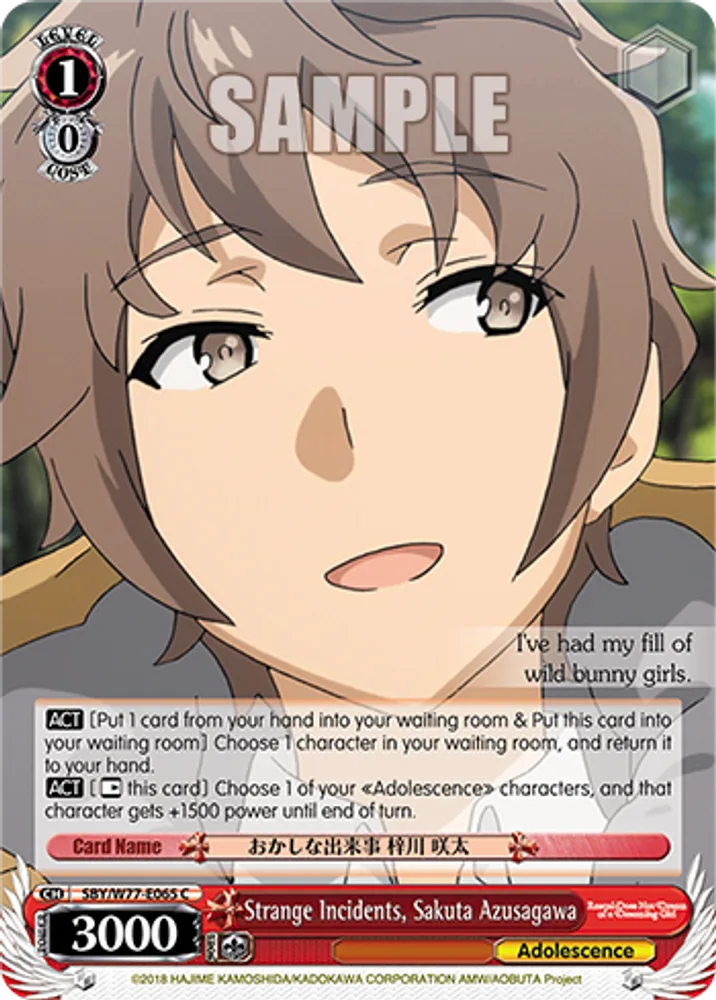 Strange Incidents, Sakuta Azusagawa