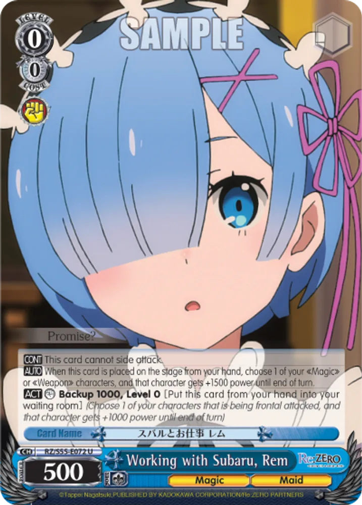 Working with Subaru, Rem