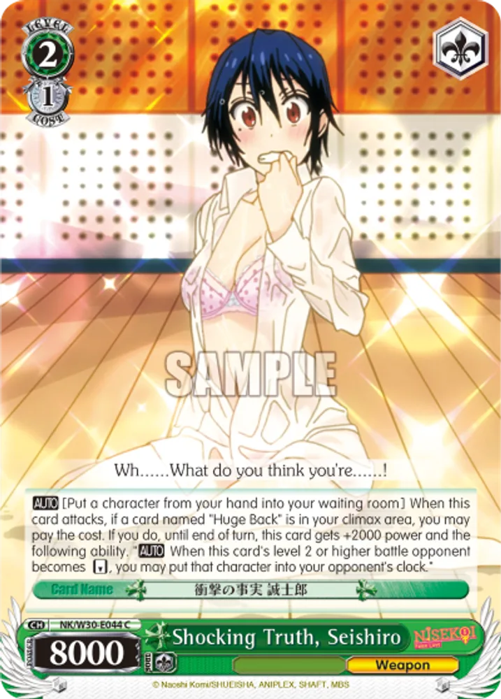 Shocking Truth, Seishiro