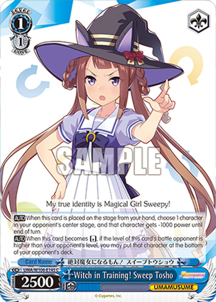 Witch in Training! Sweep Tosho