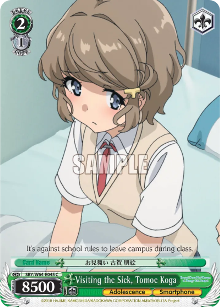 Visiting the Sick, Tomoe Koga