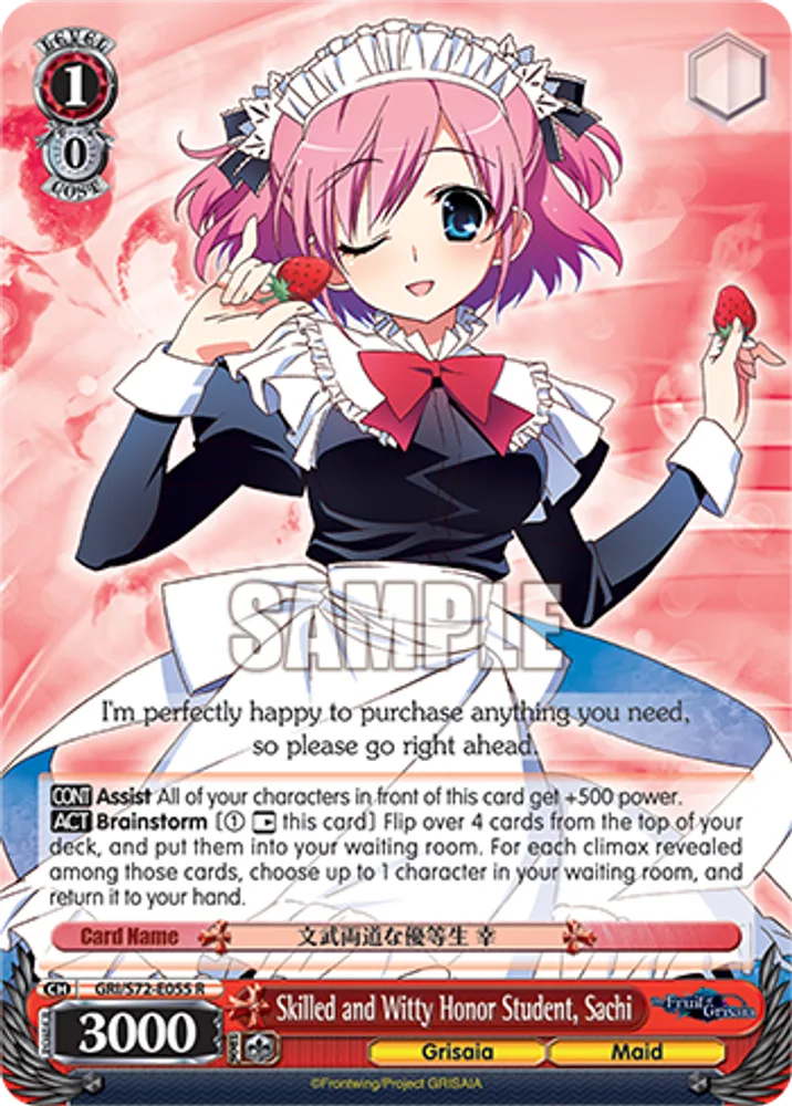 Skilled and Witty Honor Student, Sachi
