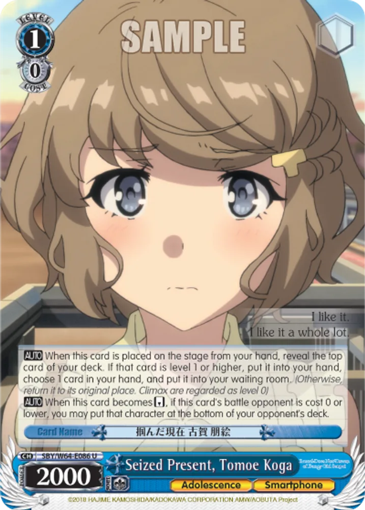 Seized Present, Tomoe Koga
