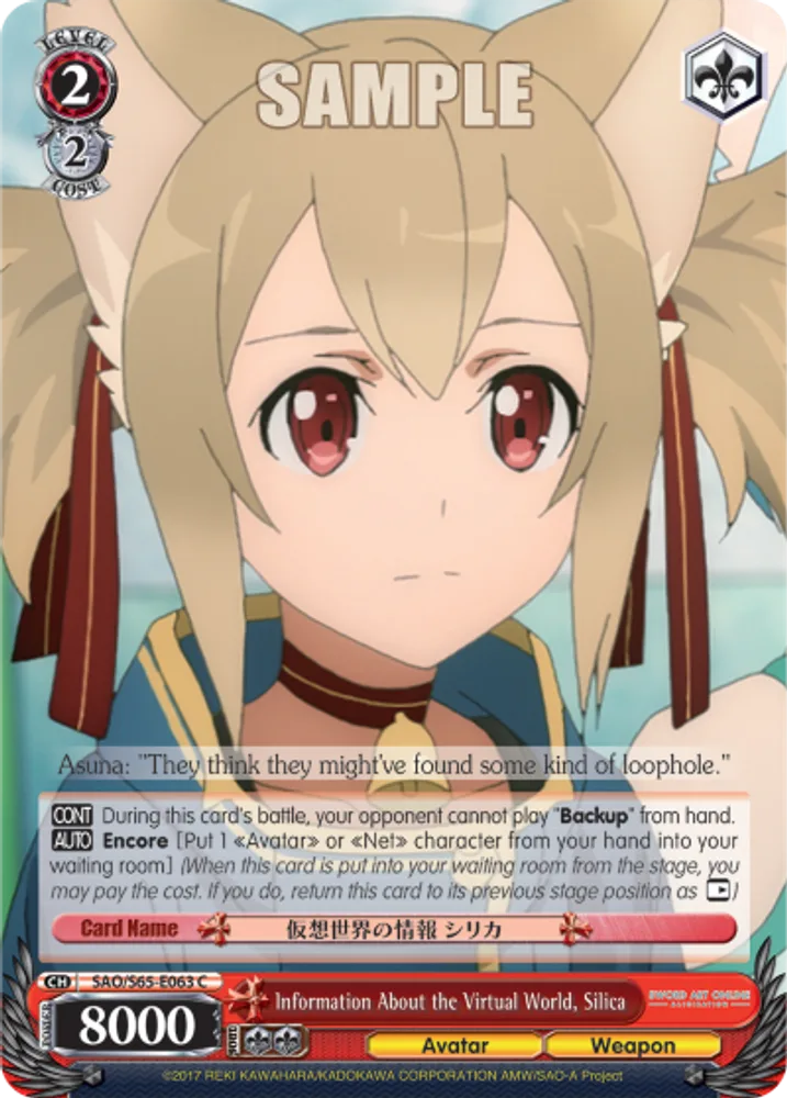 Information About the Virtual World, Silica