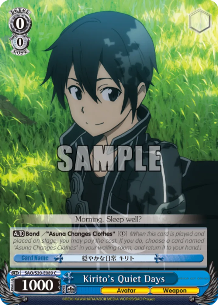 Kirito's Quiet Days