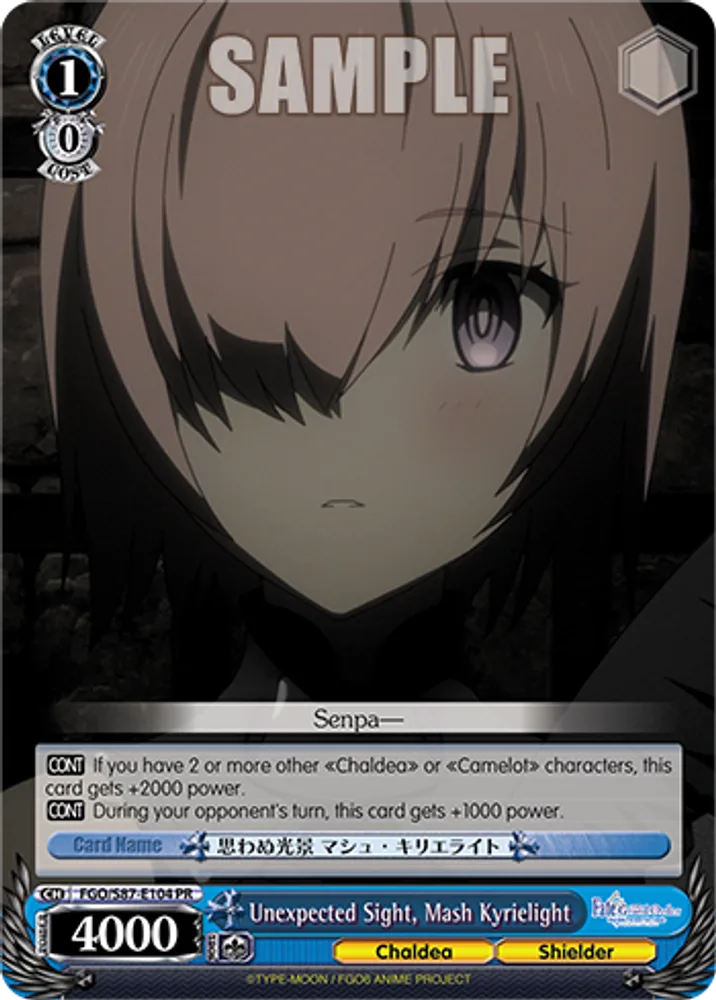 Unexpected Sight, Mash Kyrielight