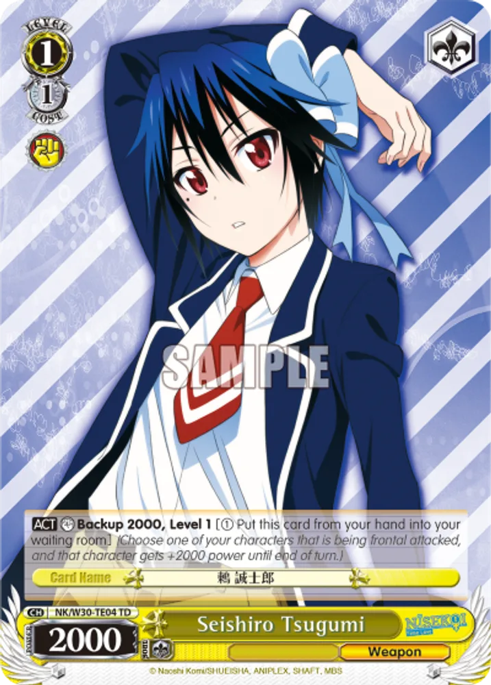 Seishiro Tsugumi