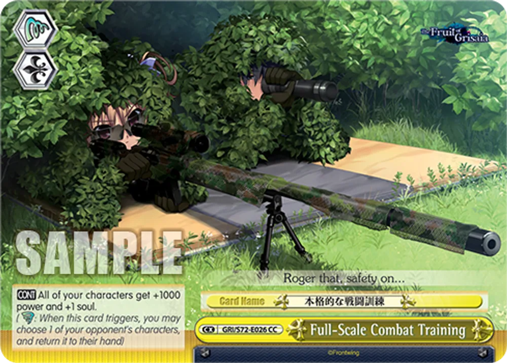 Full-Scale Combat Training