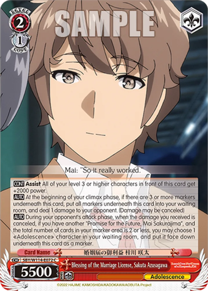Blessing of the Marriage License, Sakuta Azusagawa