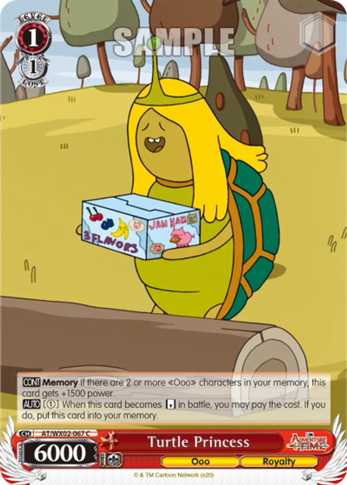 Turtle Princess